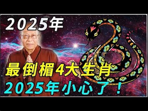 2025年是什麼生肖